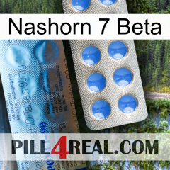 Rhino 7 Beta 40
